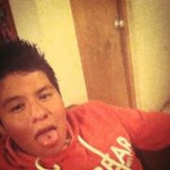 Gerardo Estrada Ceer