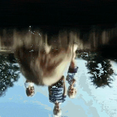 Greeshma Balachandran