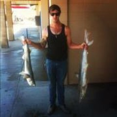 David Andrew Niacaris