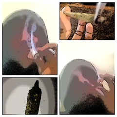 Bad Girl Good Girl  DjDllea  (Prod by C.O.S.)