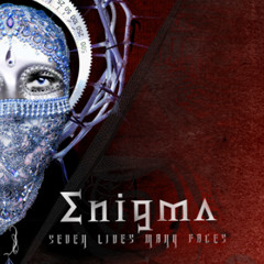 BonoboEnigma