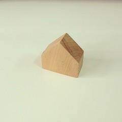 The Foolish Record 蠢蠢錄動