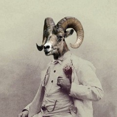 Electric Sheep Recordings