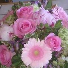 Carole Heitz