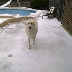 Trans Siberian Orchestra