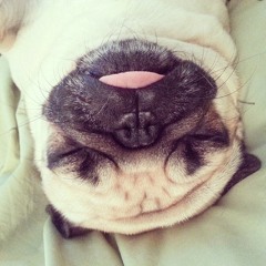 Alexander. The Great