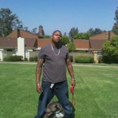 L.m. Sanders LuckyLucci