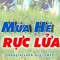 Anh Cu Ti