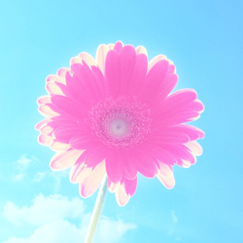 다이나믹듀오 & 진실《사선에서》