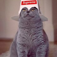 The Psytrance Goosebumps Playlist