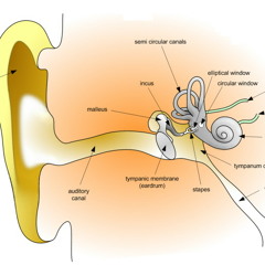 Cristi Black - When Will I