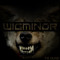 WigMinor