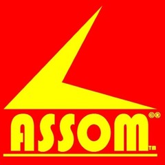 TheAssomGroup