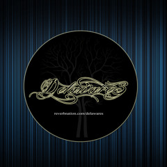 Delaware's (acoustic)