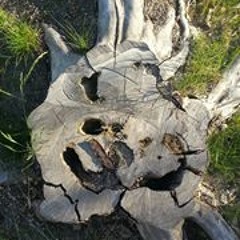 Dominik Peter Seithel