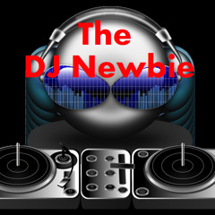 The DJ Newbie