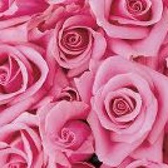 Kristol Bostic Wilkerson