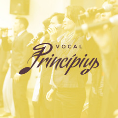Vocal Principius