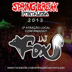 Dj Fox Electro House