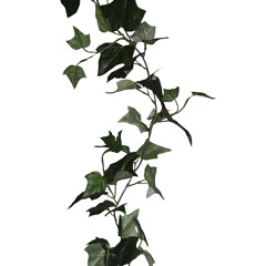 Acid Fruits+Grey Flowers