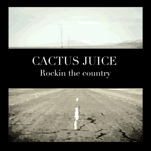 Cactus Juice NZ’s avatar