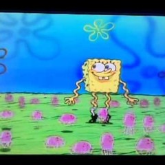 willystylee