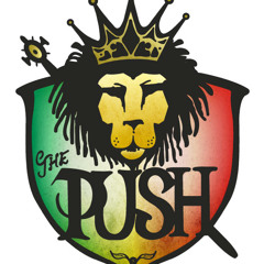 The Push Reggae Band