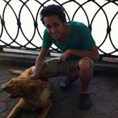 Mohamed Alaa 87