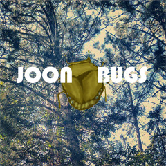 Joonbugs