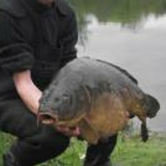 Guillaume Chevalier 9