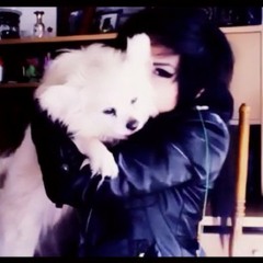 KittyTheCreator00316