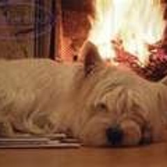 Jackie Whitson Hawkins