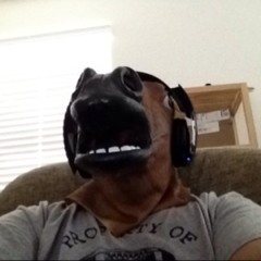 stupid sings