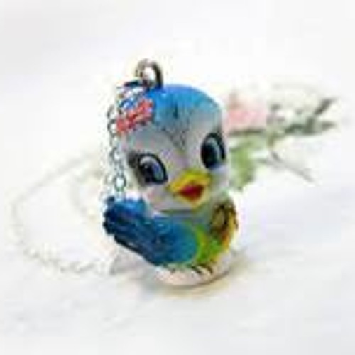 Burung Ciblek Super A.K.B.P Suradi
