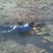 Bradley Hargrove 1