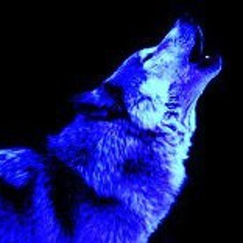 Stream Azul Wolf music | Listen to songs, albums, playlists for free on ...