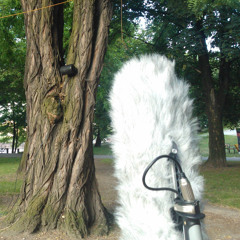 Survival - Sound Art