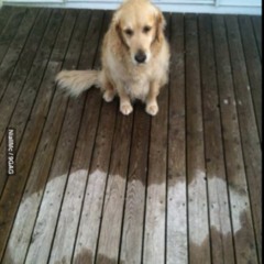 AndreaJuliaBarcelona