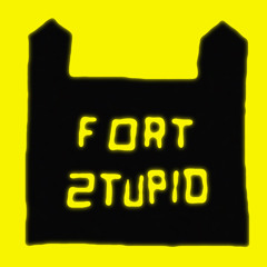 Fort Stupid