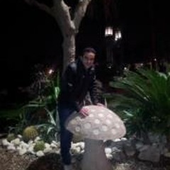Mohamed Medhat 4
