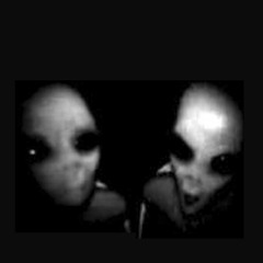 Electro Terrestrials