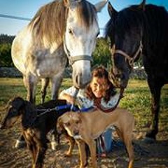 Suzy De Corrêa-Monteiro