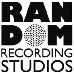 randomrecordings2013