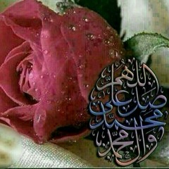sayedhashimalsada