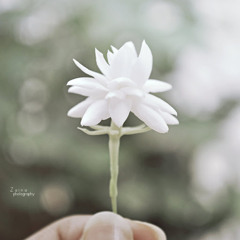 Ibrahim Majed (CrEaTiVe)