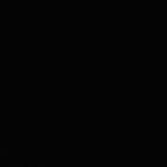 Deeanna Andrea Evans