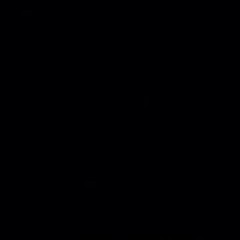 Martel Telley Shealey