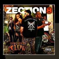 Zection 8 Records LLC.