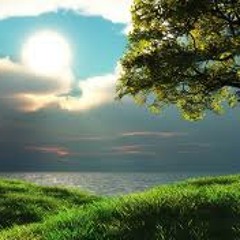 Artie The 1 man Party!