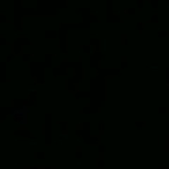 Alexandra Vi Tolbert